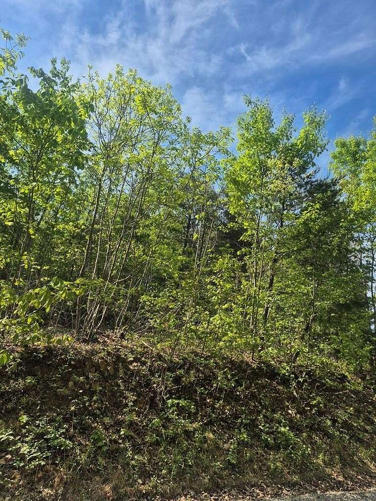 2.9 Acres of Residential Land for Sale in Green Bay, Virginia
