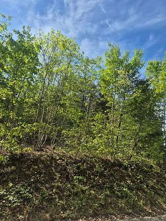 2.9 Acres of Residential Land for Sale in Green Bay, Virginia