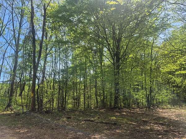 60.3 Acres of Recreational & Residential Land for Sale in Gladstone, Virginia