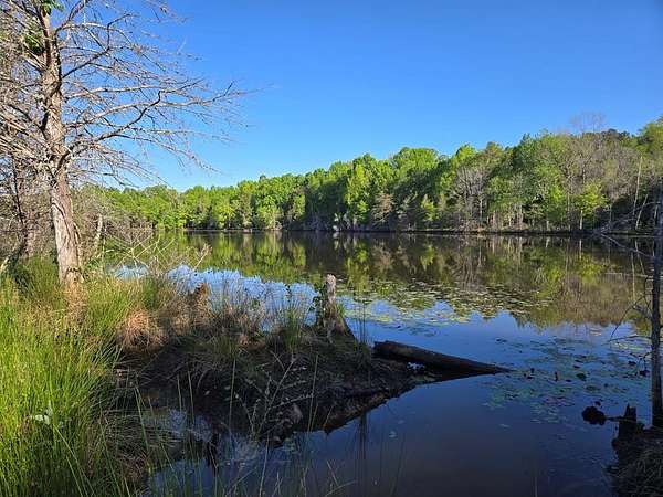 26.3 Acres of Land for Sale in Farmville, Virginia