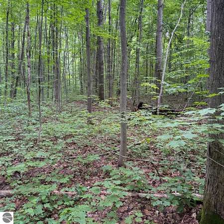5 Acres of Residential Land for Sale in Mancelona, Michigan