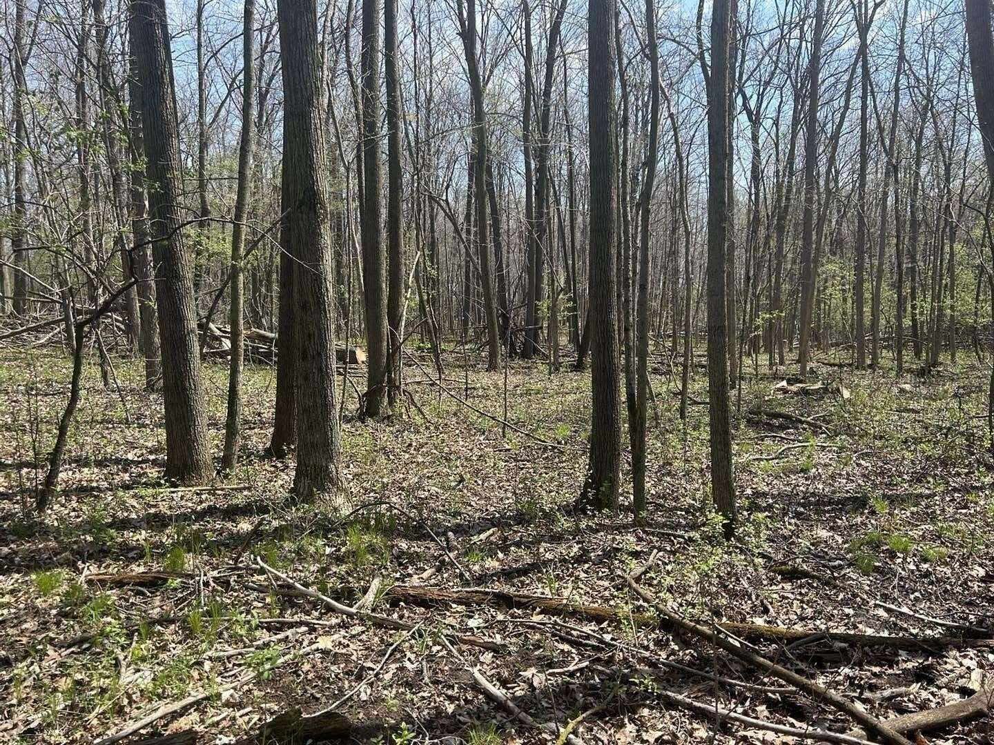10 Acres of Land for Sale in Hillsdale, Michigan