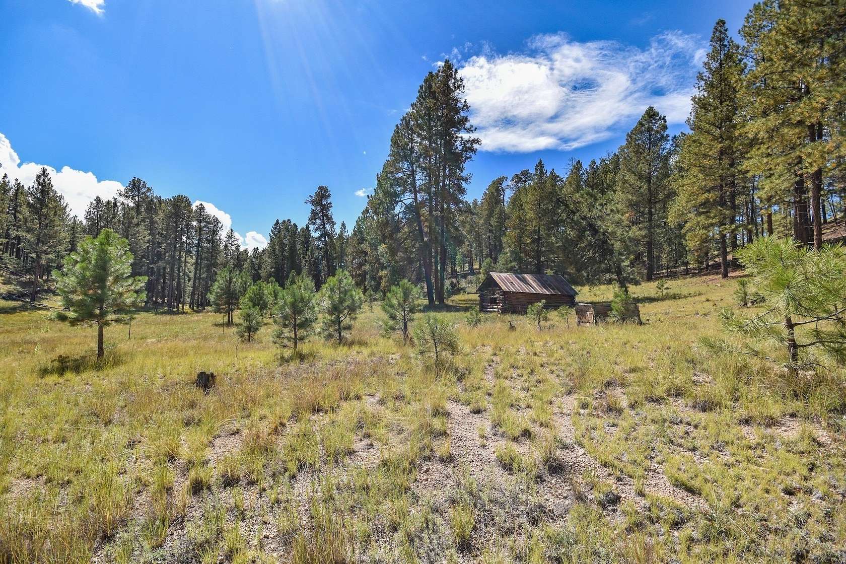 27.5 Acres of Land for Sale in Jemez Springs, New Mexico