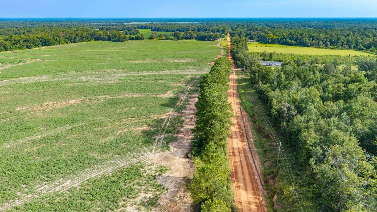 72.1 Acres of Agricultural & Residential Land for Sale in Whigham, Georgia