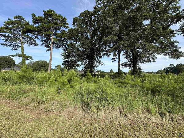 0.82 Acres of Residential Land for Sale in Hawkinsville, Georgia