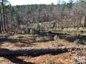 1.63 Acres of Residential Land for Sale in Connelly Springs, North Carolina