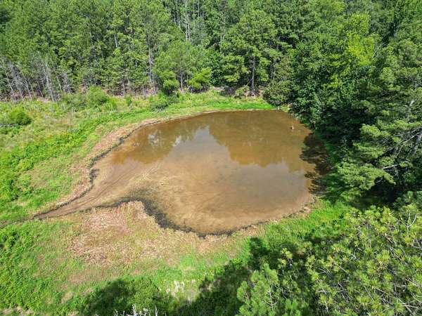 47 Acres of Recreational & Residential Land for Sale in Edgefield, South Carolina