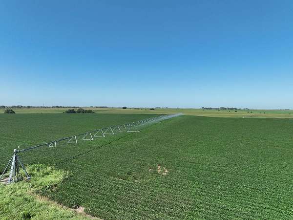 79.7 Acres of Agricultural Land for Sale in Aurora, Nebraska