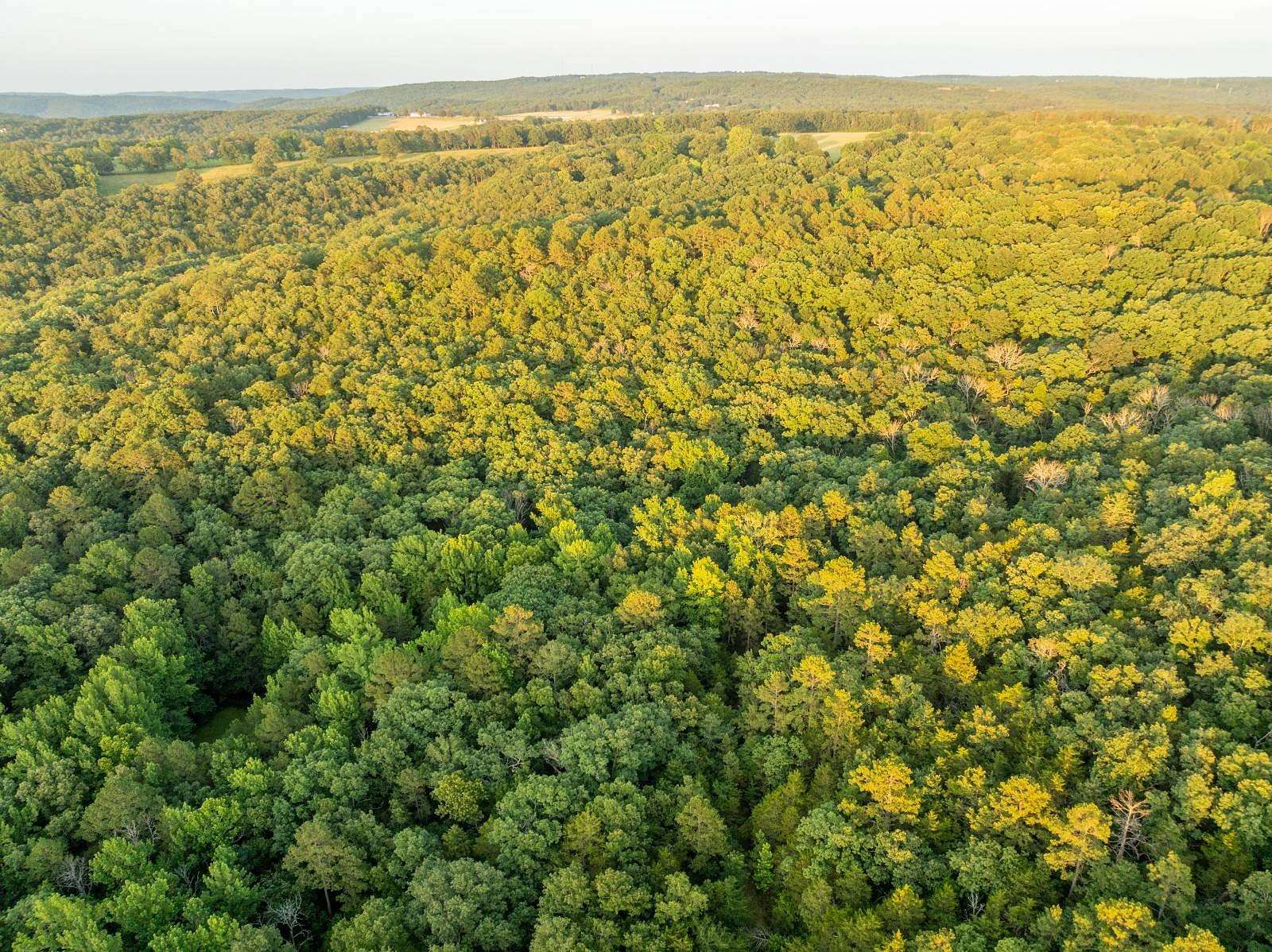 10.5 Acres of Land for Sale in Shirley, Arkansas
