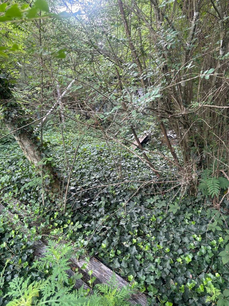 2.65 Acres of Land for Sale in Science Hill, Kentucky