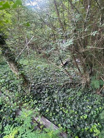 2.65 Acres of Land for Sale in Science Hill, Kentucky