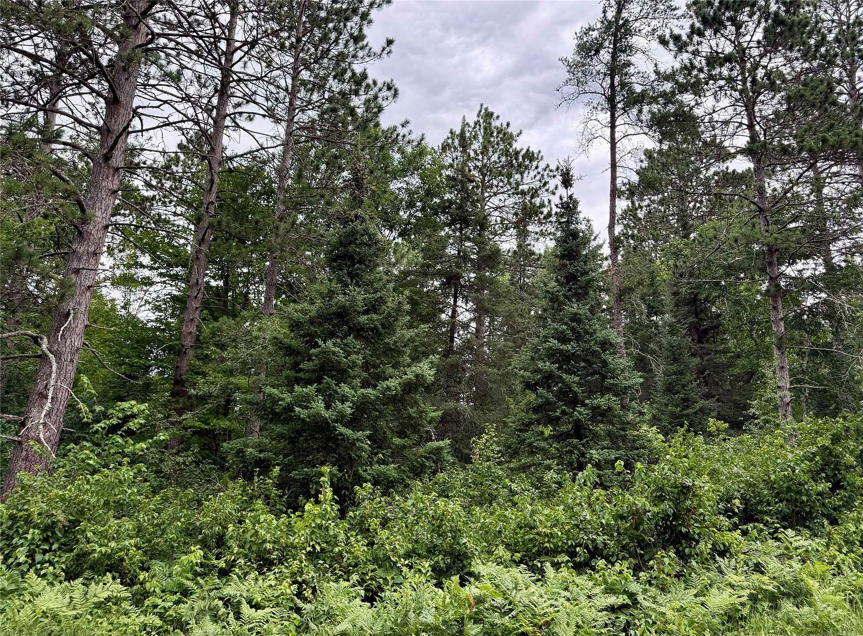 0.82 Acres of Residential Land for Sale in Cable, Wisconsin