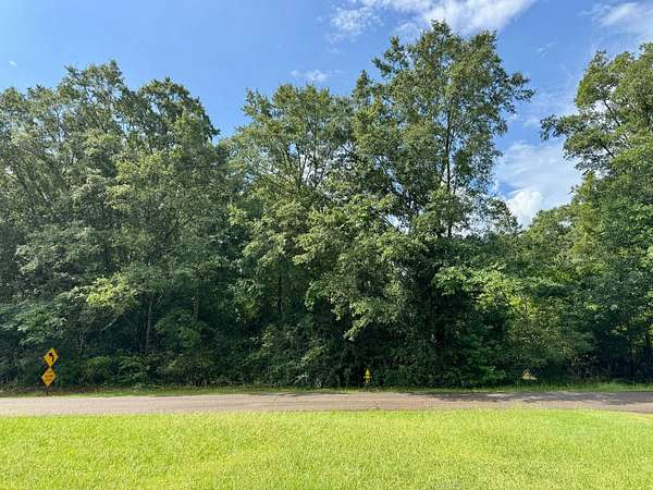 5 Acres of Residential Land for Sale in Pine Mountain, Georgia