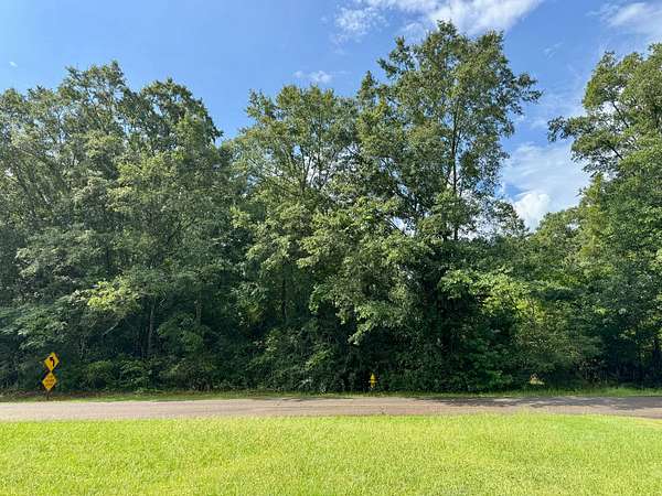 5 Acres of Residential Land for Sale in Pine Mountain, Georgia