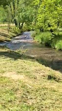 17.2 Acres of Recreational Land for Sale in Suches, Georgia
