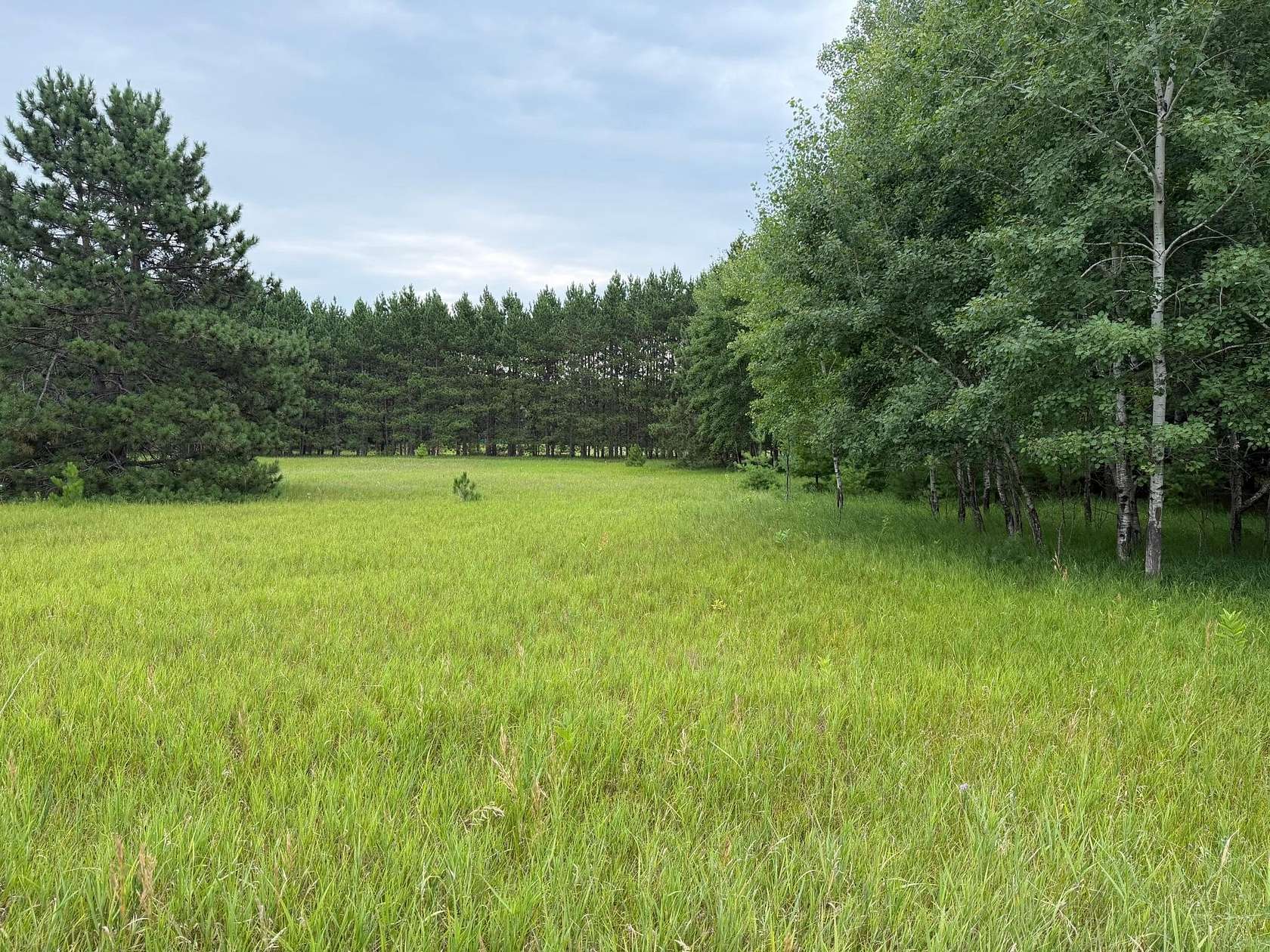 0.5 Acres of Residential Land for Sale in Danbury, Wisconsin