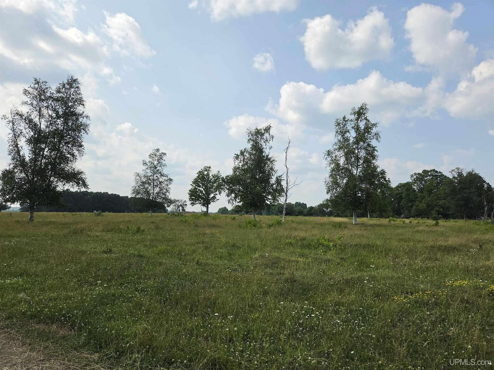20 Acres of Agricultural & Residential Land for Sale in Crystal Falls, Michigan