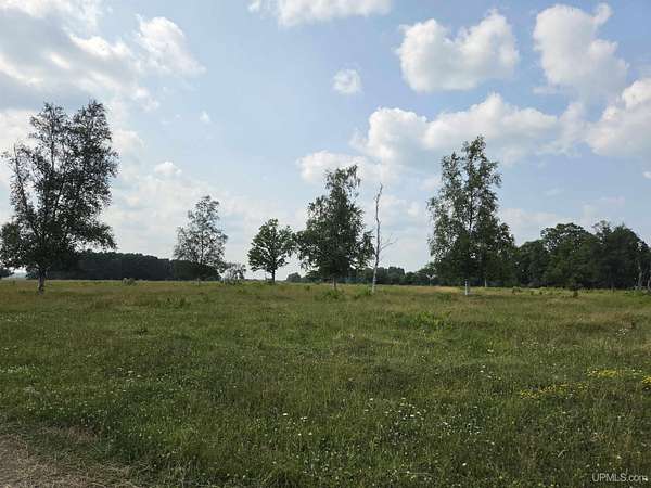 20 Acres of Agricultural & Residential Land for Sale in Crystal Falls, Michigan