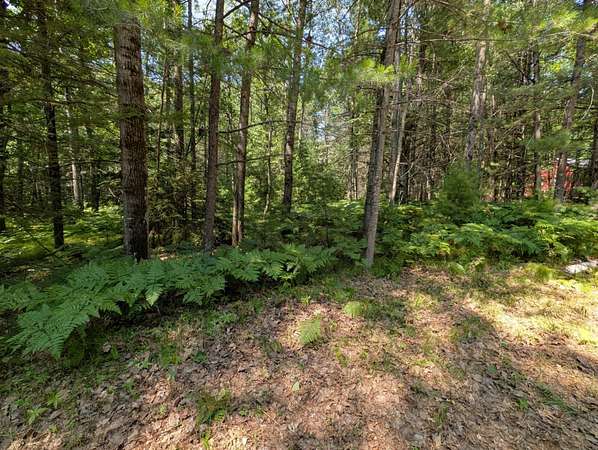 1.42 Acres of Residential Land for Sale in Hazelhurst, Wisconsin
