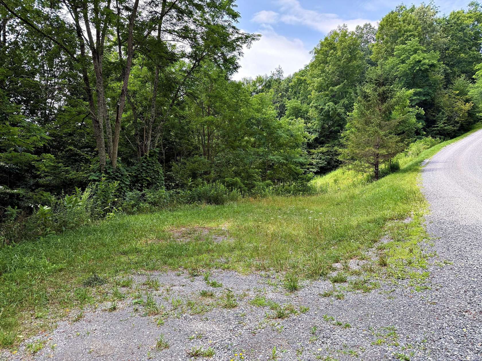 3.74 Acres of Land for Sale in Slaty Fork, West Virginia