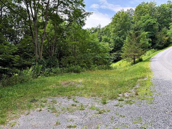3.74 Acres of Land for Sale in Slaty Fork, West Virginia