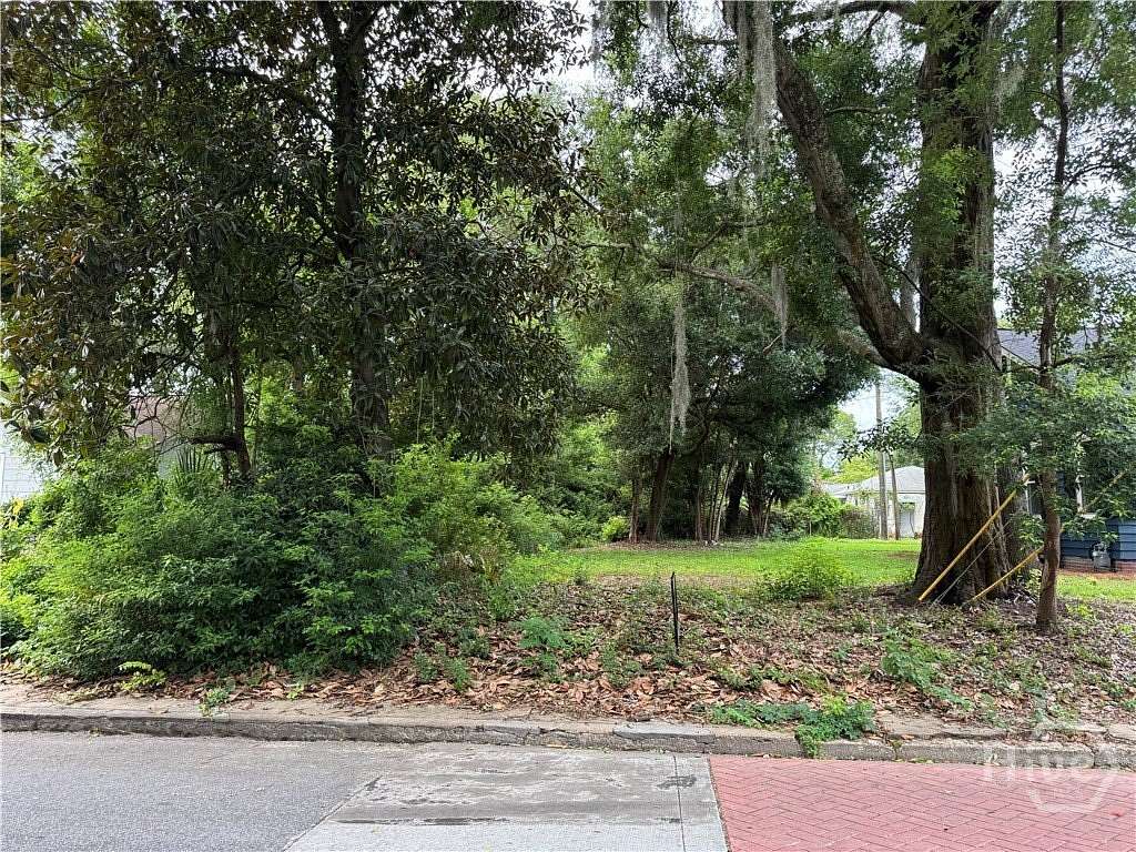 0.14 Acres of Residential Land for Sale in Savannah, Georgia