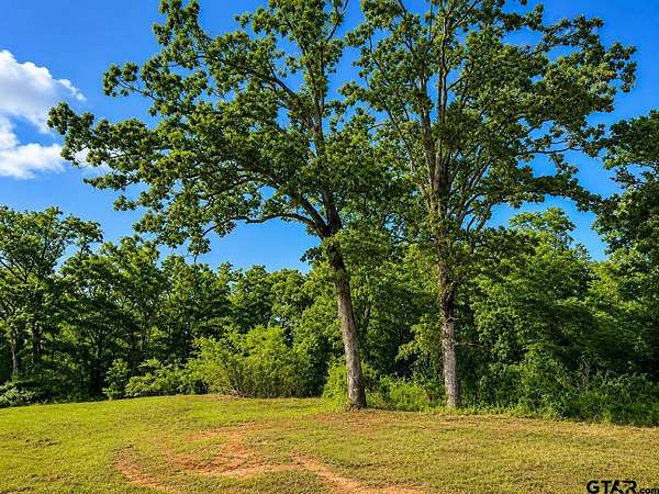 23.3 Acres of Recreational Land for Sale in Mineola, Texas