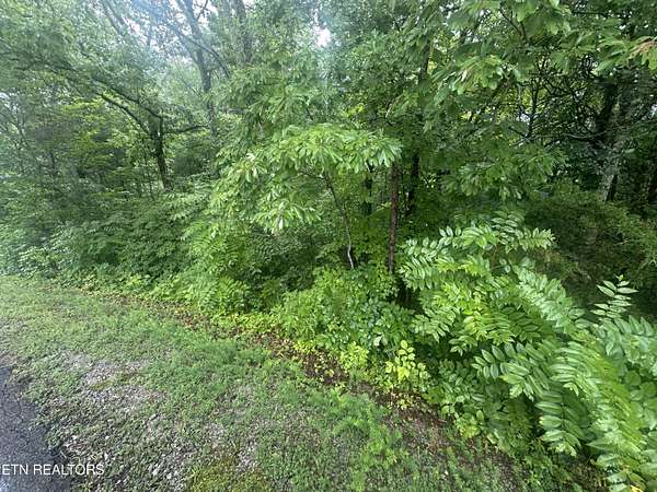 0.25 Acres of Residential Land for Sale in Loudon, Tennessee