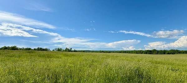 98.8 Acres of Land for Sale in Waynesboro, Tennessee