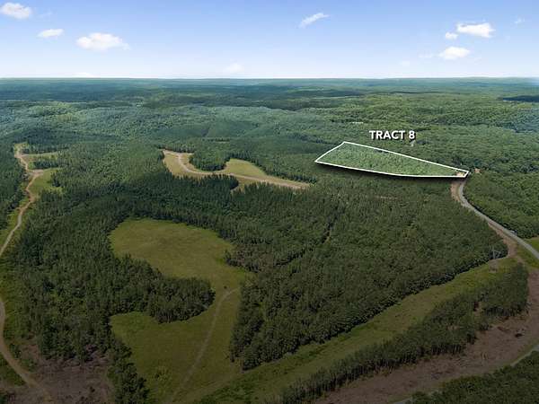 16.6 Acres of Land for Sale in Summertown, Tennessee