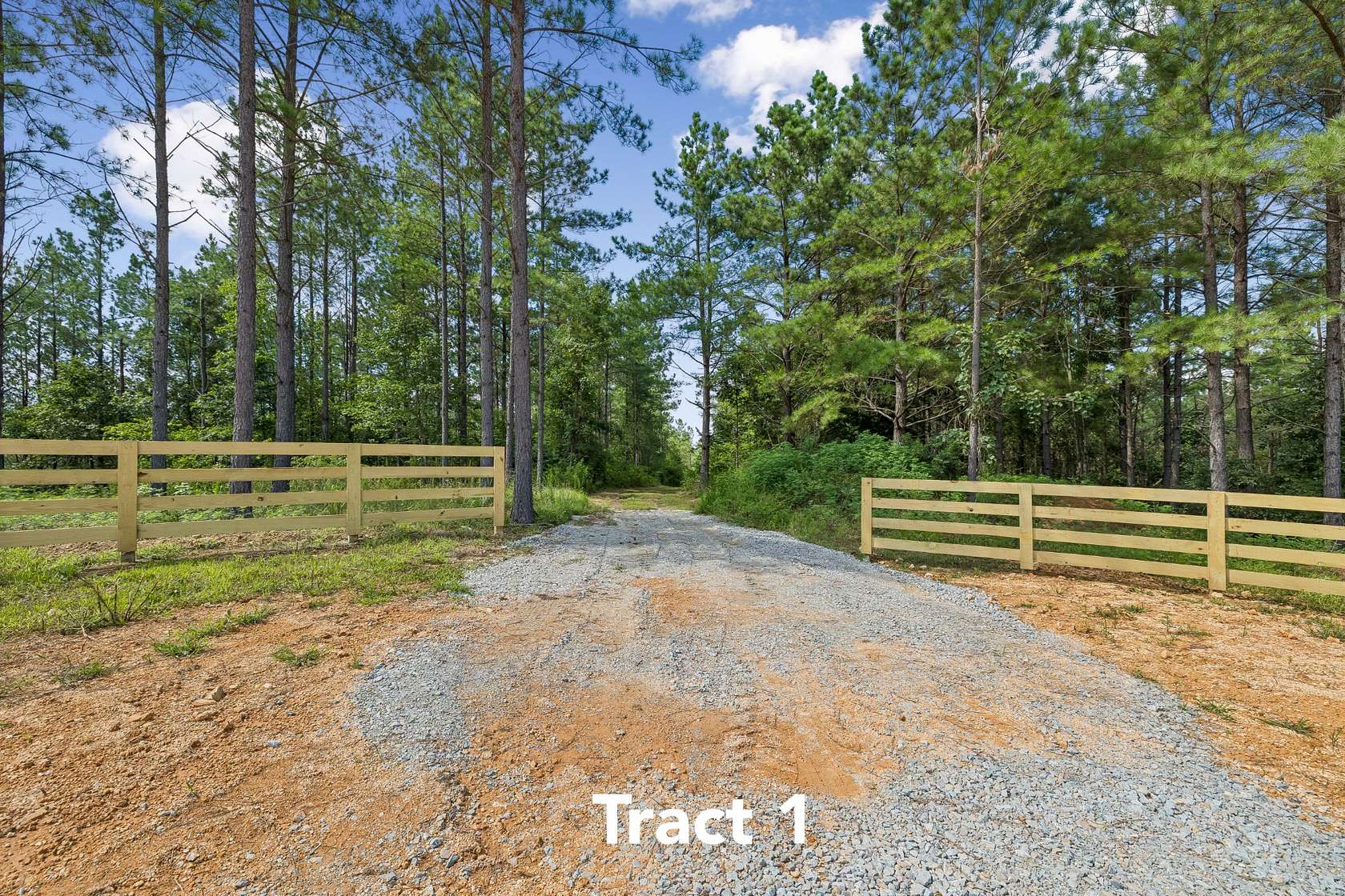 47.7 Acres of Land for Sale in Summertown, Tennessee