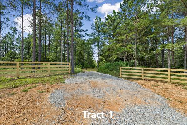 47.7 Acres of Land for Sale in Summertown, Tennessee