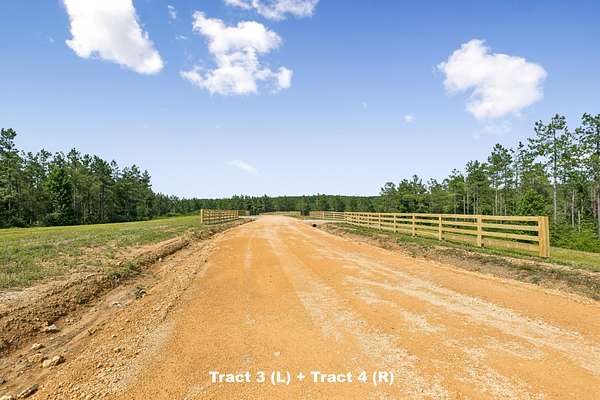 16.9 Acres of Land for Sale in Summertown, Tennessee