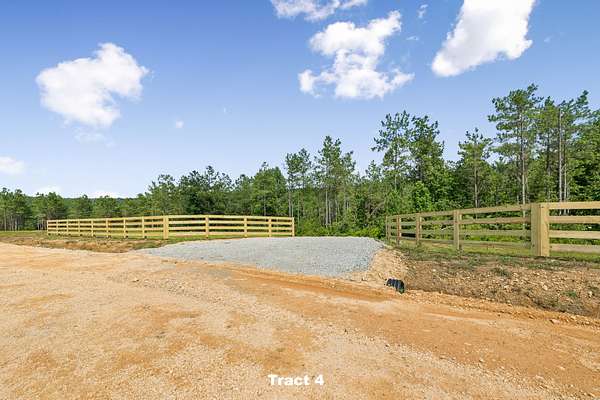 22.5 Acres of Land for Sale in Summertown, Tennessee