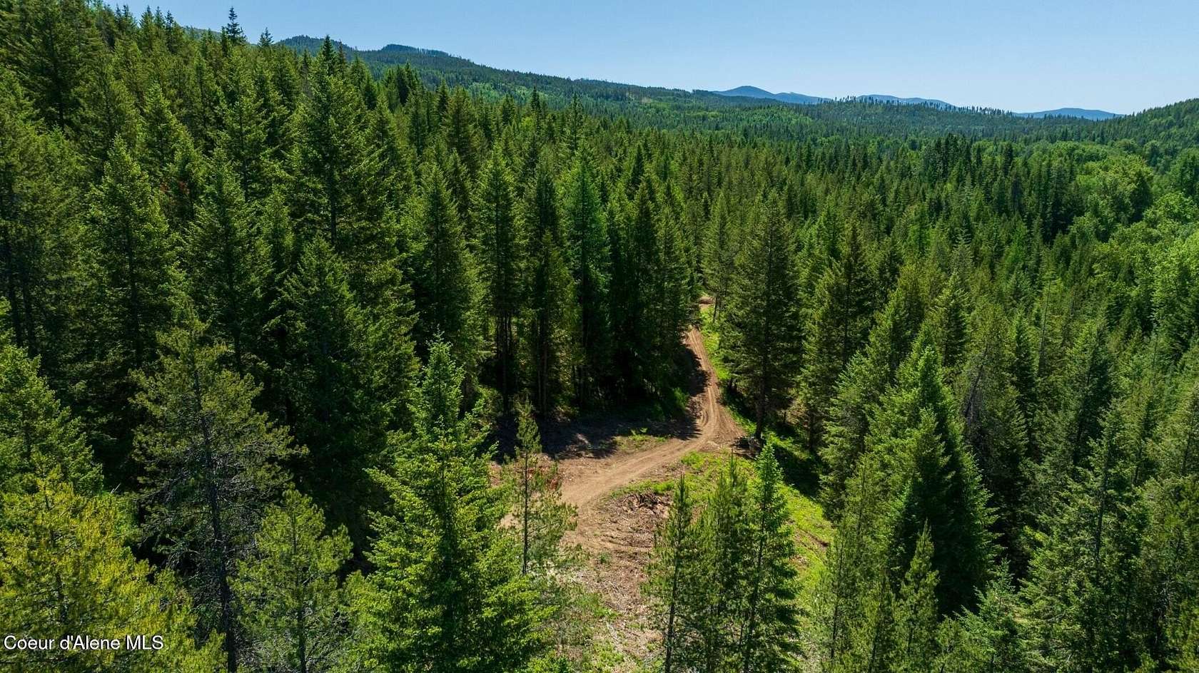 9.75 Acres of Land for Sale in Careywood, Idaho