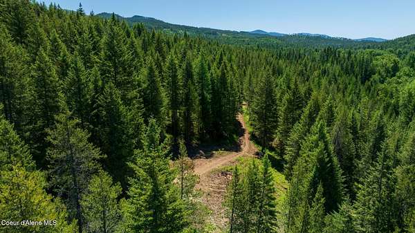 9.75 Acres of Land for Sale in Careywood, Idaho