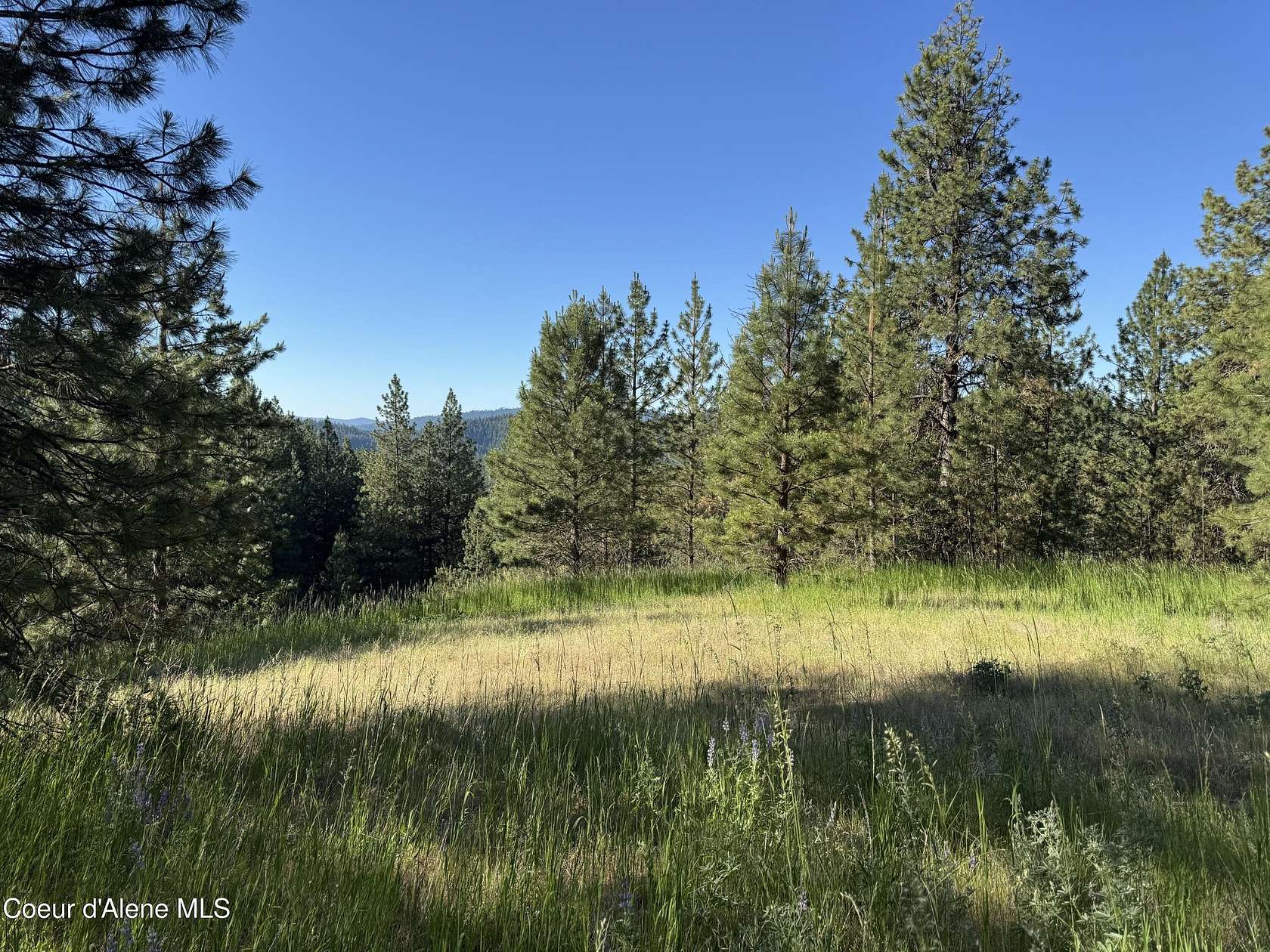 5.46 Acres of Land for Sale in Coeur d'Alene, Idaho