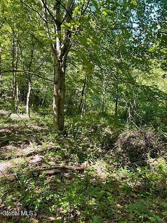 2.9 Acres of Land for Sale in Cairo, New York