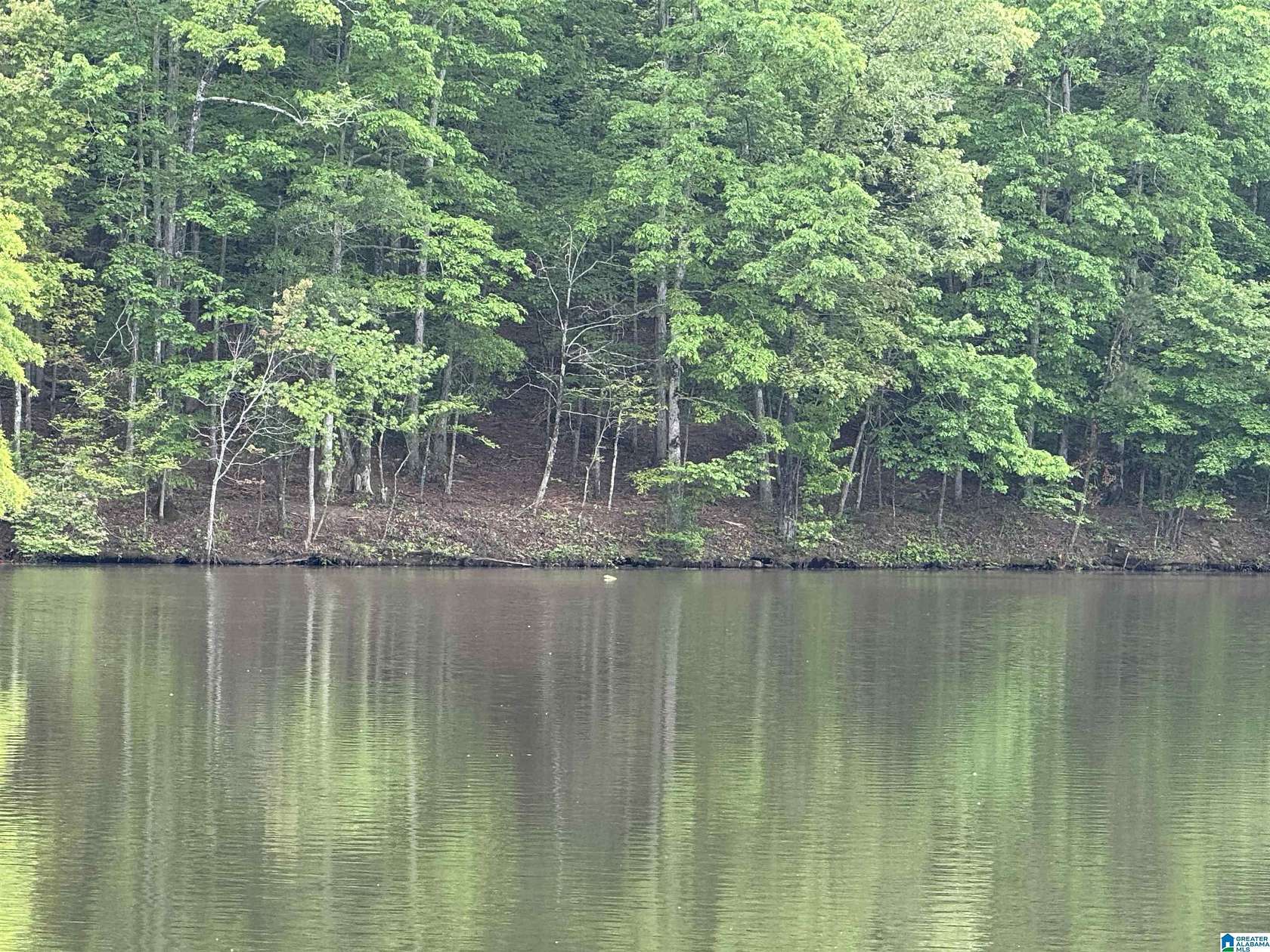 1.54 Acres of Land for Sale in Wedowee, Alabama