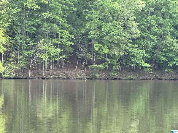 1.54 Acres of Land for Sale in Wedowee, Alabama