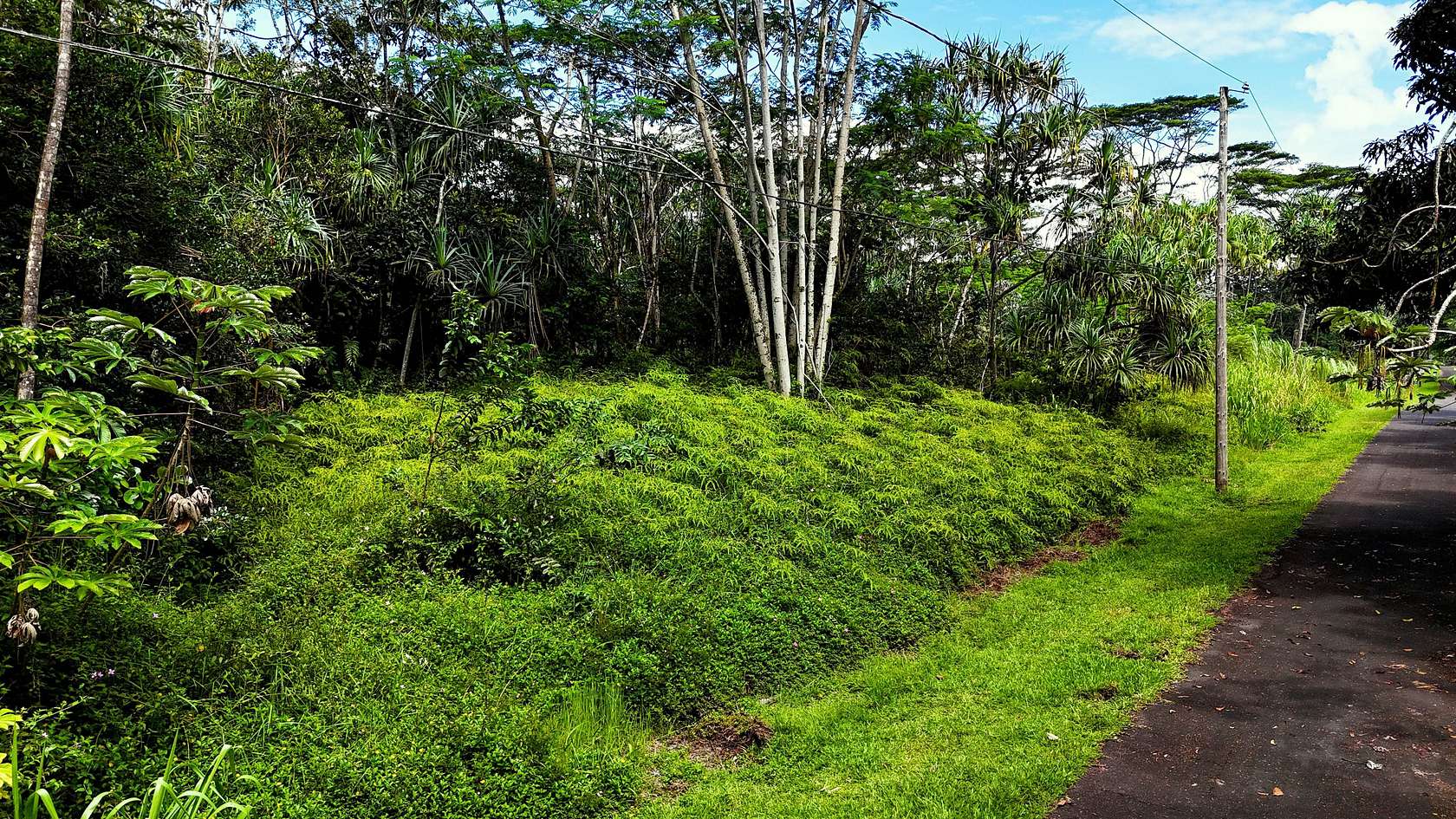 0.36 Acres of Residential Land for Sale in Pahoa, Hawaii