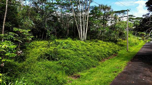 0.36 Acres of Residential Land for Sale in Pahoa, Hawaii