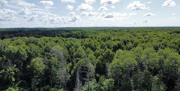 80 Acres of Recreational Land for Sale in Merrill, Wisconsin