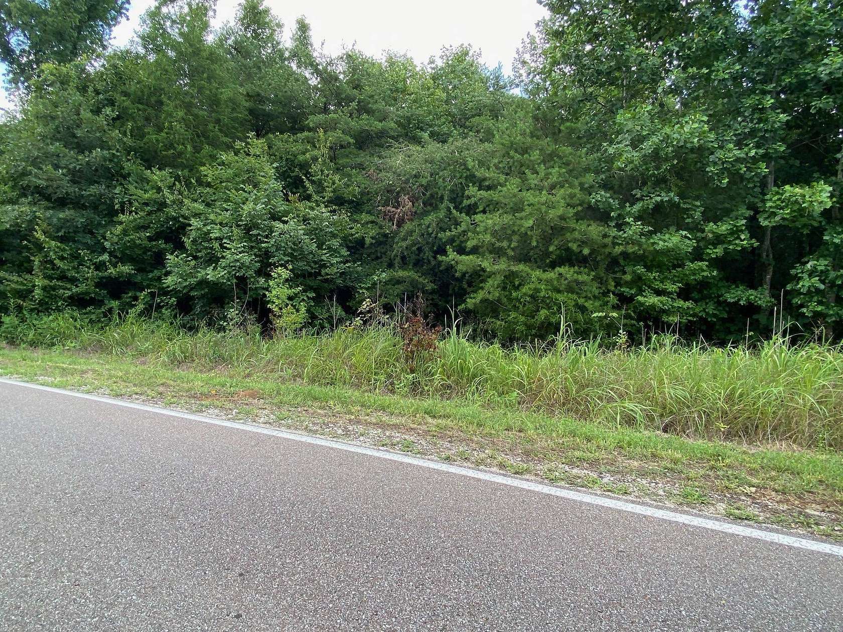 9.23 Acres of Land for Sale in Morris Chapel, Tennessee