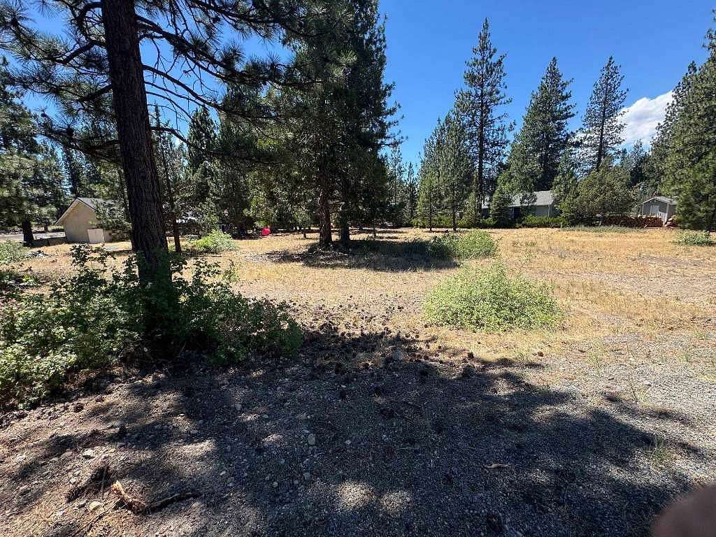 0.24 Acres of Land for Sale in Weed, California