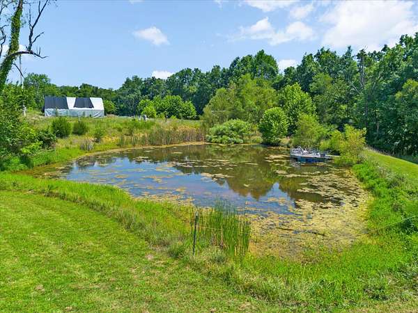 29.1 Acres of Land for Sale in Fordland, Missouri