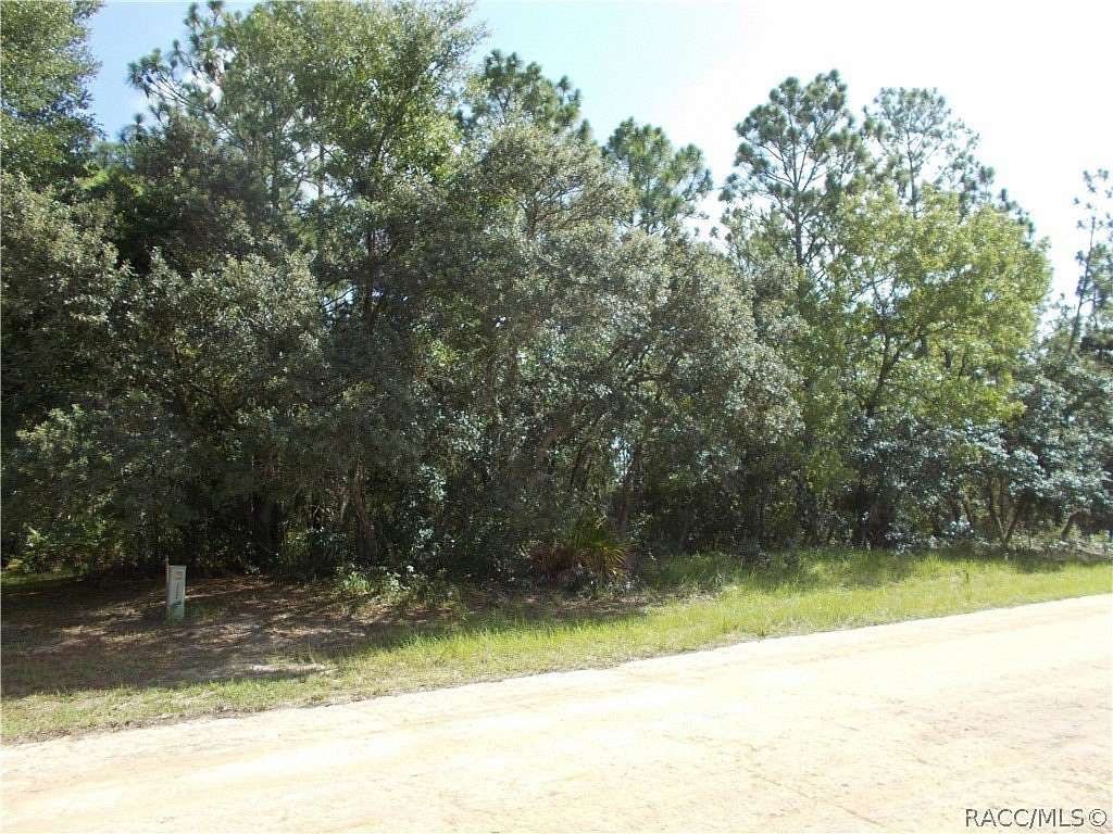 1.43 Acres of Residential Land for Sale in Beverly Hills, Florida