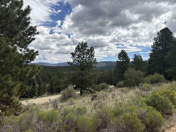 0.77 Acres of Residential Land for Sale in Angel Fire, New Mexico