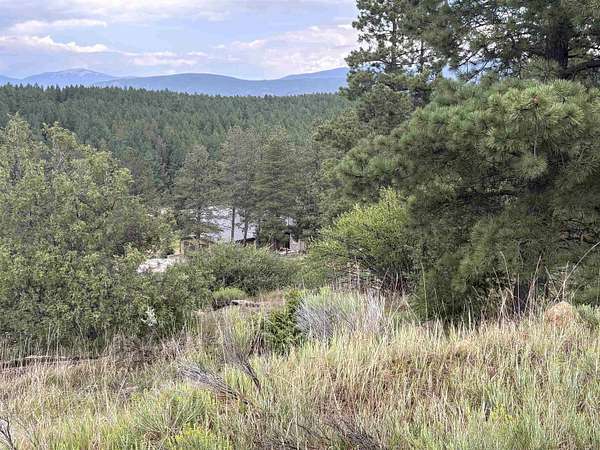 0.77 Acres of Residential Land for Sale in Angel Fire, New Mexico