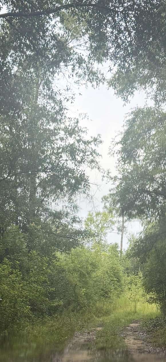 32.8 Acres of Recreational Land for Sale in Hosford, Florida